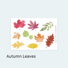 Load image into Gallery viewer, Autumn Leaves Stickers
