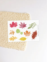 Load image into Gallery viewer, Autumn Leaves Stickers
