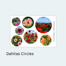 Load image into Gallery viewer, Dahlias Circles Sticker Sheet
